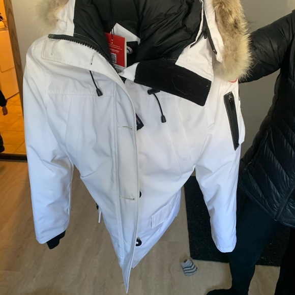 Gorgeous Canada Goose Jacket - Picture 4 of 8